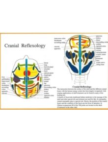 Cranial Reflexology -- A4 - 9789070281564