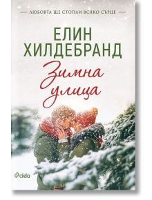 Winter, книга 1: Зимна улица - Елин Хилдебранд - Жена, Мъж - Сиела - 9789542840718