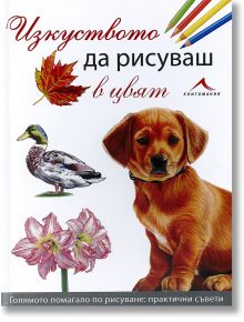 Изкуството да рисуваш в цвят - Колектив - Книгомания - 9789548432825