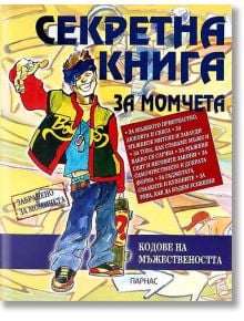 Секретна книга за момчета - Пламен Абаджиев - Парнас - 9789548560986