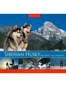 Siberian Husky - 9789619348567