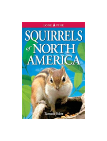 Squirrels of North America - 9789768200457