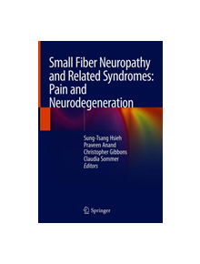 Small Fiber Neuropathy and Related Syndromes: Pain and Neurodegeneration - 9789811335457