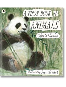 A First Book of Animals - Nicola Davies - Walker Books - 9142 - 9781406378122