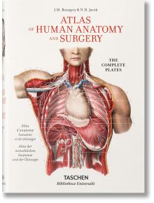 Bourgery. Atlas of Human Anatomy and Surgery - Henri Sick, Jean-Marie Le Minor - TASCHEN - 9783836556620