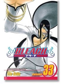 Bleach, Vol. 33