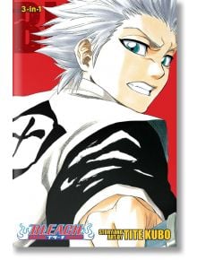 Bleach (3-in-1 Edition), Vol. 6