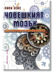 Човешкият мозък. Лесен наръчник по невропсихология - Ники Хейс - Хомо Футурус - 9786192230593