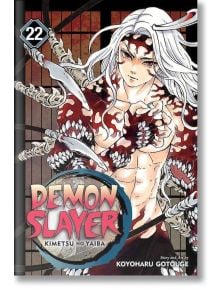 Demon Slayer Kimetsu no Yaiba, Vol. 22 - Koyoharu Gotouge - Viz Media - 9781974723416