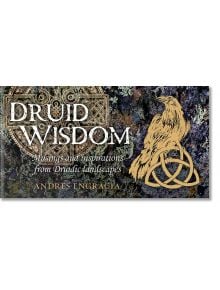 Druid Wisdom - Andres Engracia - Rockpool Publishing - 5655 - 9781922579454