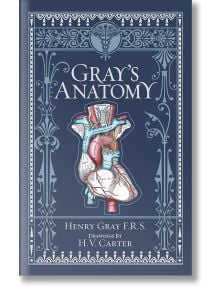 Gray's Anatomy - Henry Gray - Жена, Мъж - Union Square & Co. - 9781435167919