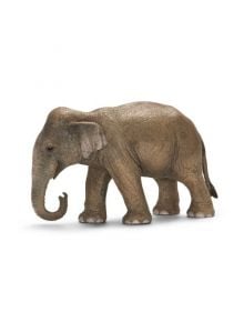 Индийски слон, женски - Schleich - Schleich - Момиче, Момче - Schleich - Wild life - 4005086147539