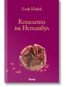 Копелето на Истанбул - Елиф Шафак - Анишър - 9789542706489