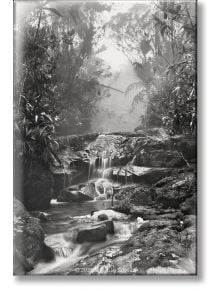 Sebastiao Salgado. Amazonia, Magnet 'Creek' - TASCHEN - 9783836589659