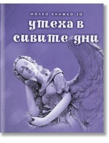 Малка книжка за успеха в сивите дни - Simetro books - Малки книжки за големите неща в живота - 9789549407860