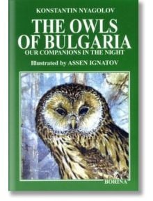 Owls Of Bulgaria: Our Companions In The Night - Константин Няголов - Борина - 9545001038