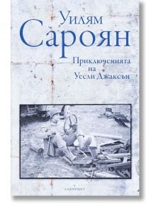 Приключенията на Уесли Джаксън - Уилям Сароян - Лабиринт - 9786197055702