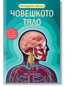 Разгледайте отблизо! Човешкото тяло - Колектив - Момиче, Момче - Фют - 3800083835578