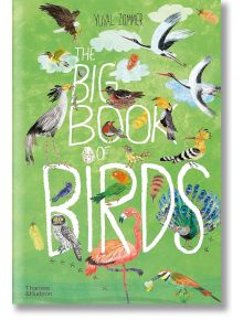 The Big Book of Birds - Yuval Zommer - Thames & Hudson Ltd - 8816 - 9780500651513