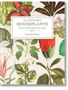 The Language of Houseplants - Cheralyn Darcey - Жена, Мъж - Rockpool Publishing - 9781925924398