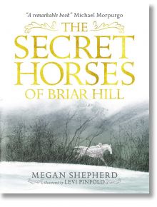 The Secret Horses of Briar Hill - Megan Shepherd - Walker Books - 9142 - 9781406373554